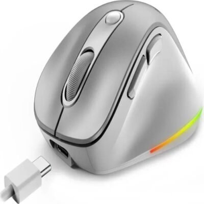 MOUSE GENIUS ERGO 9000 S  SILVER